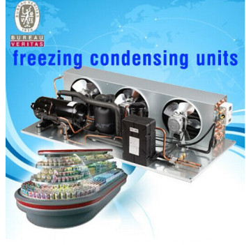 R22 r404a compresseur de refroidissement petites unités de réfrigération unité de condensation pour unités de réfrigération d&#39;occasion pour camions